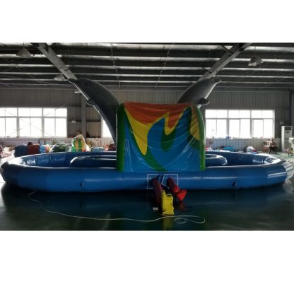 Inflatable Water Slide XZ-BH-4357